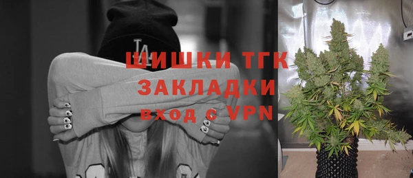 метадон Няндома