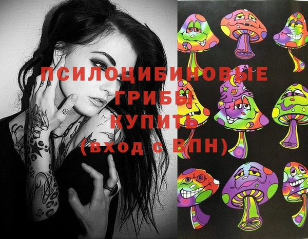 ешки Нягань