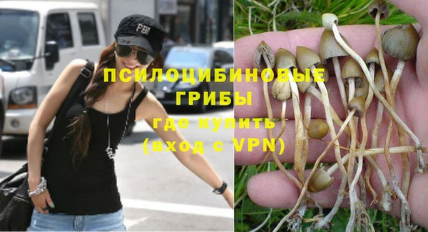 метадон Няндома
