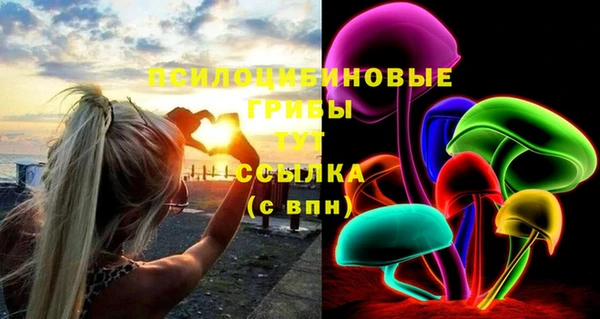 PSILOCYBIN Ельня