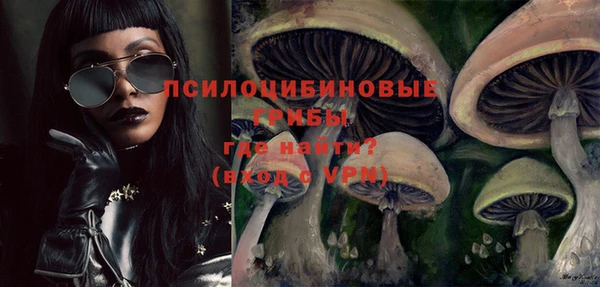метадон Няндома