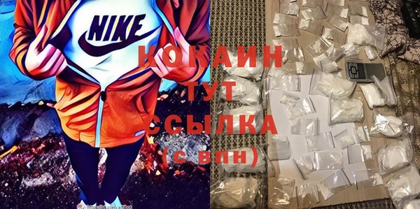 метадон Няндома