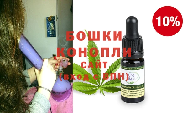 метадон Няндома