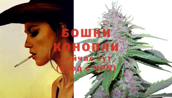 твердый Апатиты