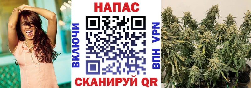 сколько стоит  площадка телеграм  Конопля White Widow  Баймак 